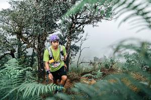 BIB: 
                            <button type="button" onclick="openModal(25329069)" class="btn btn-primary btn-sm float-right btn-popup" data-toggle="modal" data-target=".modal-high-quality">
                        <i class="fas fa-shopping-cart"></i> Add to Cart
                    </button>
                                            <button type="button" onclick="isThisMe(25329069, true)" class="btn btn-success btn-sm float-right btn-popup btn-isme hidden" data-toggle="tooltip" data-placement="bottom" title="นี่คือรูปของคุณใช่ไหม คลิกที่นี่เพื่อเอาเข้าอัลบั้ม">
                        <i class="fas fa-plus"></i> Add to album
                    </button>
                    <button type="button" onclick="isThisMe(25329069, false)" class="btn btn-warning btn-sm float-right btn-popup btn-isnotme hidden">
                        <i class="fas fa-ban"></i> Remove from album
                    </button>