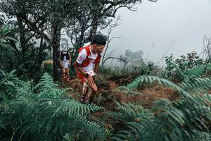 BIB: 
                            <button type="button" onclick="openModal(25330140)" class="btn btn-primary btn-sm float-right btn-popup" data-toggle="modal" data-target=".modal-high-quality">
                        <i class="fas fa-shopping-cart"></i> Add to Cart
                    </button>
                                            <button type="button" onclick="isThisMe(25330140, true)" class="btn btn-success btn-sm float-right btn-popup btn-isme hidden" data-toggle="tooltip" data-placement="bottom" title="นี่คือรูปของคุณใช่ไหม คลิกที่นี่เพื่อเอาเข้าอัลบั้ม">
                        <i class="fas fa-plus"></i> Add to album
                    </button>
                    <button type="button" onclick="isThisMe(25330140, false)" class="btn btn-warning btn-sm float-right btn-popup btn-isnotme hidden">
                        <i class="fas fa-ban"></i> Remove from album
                    </button>