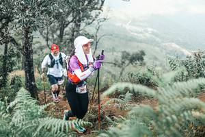 BIB: 
                            <button type="button" onclick="openModal(25339318)" class="btn btn-primary btn-sm float-right btn-popup" data-toggle="modal" data-target=".modal-high-quality">
                        <i class="fas fa-shopping-cart"></i> Add to Cart
                    </button>
                                            <button type="button" onclick="isThisMe(25339318, true)" class="btn btn-success btn-sm float-right btn-popup btn-isme hidden" data-toggle="tooltip" data-placement="bottom" title="นี่คือรูปของคุณใช่ไหม คลิกที่นี่เพื่อเอาเข้าอัลบั้ม">
                        <i class="fas fa-plus"></i> Add to album
                    </button>
                    <button type="button" onclick="isThisMe(25339318, false)" class="btn btn-warning btn-sm float-right btn-popup btn-isnotme hidden">
                        <i class="fas fa-ban"></i> Remove from album
                    </button>