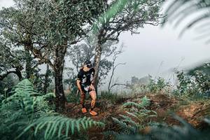 BIB: 
                            <button type="button" onclick="openModal(25328897)" class="btn btn-primary btn-sm float-right btn-popup" data-toggle="modal" data-target=".modal-high-quality">
                        <i class="fas fa-shopping-cart"></i> Add to Cart
                    </button>
                                            <button type="button" onclick="isThisMe(25328897, true)" class="btn btn-success btn-sm float-right btn-popup btn-isme hidden" data-toggle="tooltip" data-placement="bottom" title="นี่คือรูปของคุณใช่ไหม คลิกที่นี่เพื่อเอาเข้าอัลบั้ม">
                        <i class="fas fa-plus"></i> Add to album
                    </button>
                    <button type="button" onclick="isThisMe(25328897, false)" class="btn btn-warning btn-sm float-right btn-popup btn-isnotme hidden">
                        <i class="fas fa-ban"></i> Remove from album
                    </button>