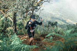 BIB: 
                            <button type="button" onclick="openModal(25338494)" class="btn btn-primary btn-sm float-right btn-popup" data-toggle="modal" data-target=".modal-high-quality">
                        <i class="fas fa-shopping-cart"></i> Add to Cart
                    </button>
                                            <button type="button" onclick="isThisMe(25338494, true)" class="btn btn-success btn-sm float-right btn-popup btn-isme hidden" data-toggle="tooltip" data-placement="bottom" title="นี่คือรูปของคุณใช่ไหม คลิกที่นี่เพื่อเอาเข้าอัลบั้ม">
                        <i class="fas fa-plus"></i> Add to album
                    </button>
                    <button type="button" onclick="isThisMe(25338494, false)" class="btn btn-warning btn-sm float-right btn-popup btn-isnotme hidden">
                        <i class="fas fa-ban"></i> Remove from album
                    </button>