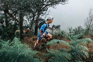 BIB: 
                            <button type="button" onclick="openModal(25330117)" class="btn btn-primary btn-sm float-right btn-popup" data-toggle="modal" data-target=".modal-high-quality">
                        <i class="fas fa-shopping-cart"></i> Add to Cart
                    </button>
                                            <button type="button" onclick="isThisMe(25330117, true)" class="btn btn-success btn-sm float-right btn-popup btn-isme hidden" data-toggle="tooltip" data-placement="bottom" title="นี่คือรูปของคุณใช่ไหม คลิกที่นี่เพื่อเอาเข้าอัลบั้ม">
                        <i class="fas fa-plus"></i> Add to album
                    </button>
                    <button type="button" onclick="isThisMe(25330117, false)" class="btn btn-warning btn-sm float-right btn-popup btn-isnotme hidden">
                        <i class="fas fa-ban"></i> Remove from album
                    </button>