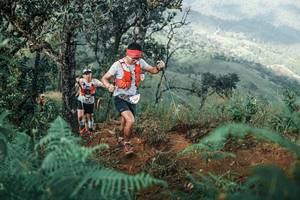 BIB: 
                            <button type="button" onclick="openModal(25338742)" class="btn btn-primary btn-sm float-right btn-popup" data-toggle="modal" data-target=".modal-high-quality">
                        <i class="fas fa-shopping-cart"></i> Add to Cart
                    </button>
                                            <button type="button" onclick="isThisMe(25338742, true)" class="btn btn-success btn-sm float-right btn-popup btn-isme hidden" data-toggle="tooltip" data-placement="bottom" title="นี่คือรูปของคุณใช่ไหม คลิกที่นี่เพื่อเอาเข้าอัลบั้ม">
                        <i class="fas fa-plus"></i> Add to album
                    </button>
                    <button type="button" onclick="isThisMe(25338742, false)" class="btn btn-warning btn-sm float-right btn-popup btn-isnotme hidden">
                        <i class="fas fa-ban"></i> Remove from album
                    </button>