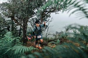 BIB: 
                            <button type="button" onclick="openModal(25336142)" class="btn btn-primary btn-sm float-right btn-popup" data-toggle="modal" data-target=".modal-high-quality">
                        <i class="fas fa-shopping-cart"></i> Add to Cart
                    </button>
                                            <button type="button" onclick="isThisMe(25336142, true)" class="btn btn-success btn-sm float-right btn-popup btn-isme hidden" data-toggle="tooltip" data-placement="bottom" title="นี่คือรูปของคุณใช่ไหม คลิกที่นี่เพื่อเอาเข้าอัลบั้ม">
                        <i class="fas fa-plus"></i> Add to album
                    </button>
                    <button type="button" onclick="isThisMe(25336142, false)" class="btn btn-warning btn-sm float-right btn-popup btn-isnotme hidden">
                        <i class="fas fa-ban"></i> Remove from album
                    </button>