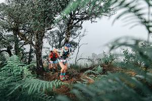 BIB: 
                            <button type="button" onclick="openModal(25328832)" class="btn btn-primary btn-sm float-right btn-popup" data-toggle="modal" data-target=".modal-high-quality">
                        <i class="fas fa-shopping-cart"></i> Add to Cart
                    </button>
                                            <button type="button" onclick="isThisMe(25328832, true)" class="btn btn-success btn-sm float-right btn-popup btn-isme hidden" data-toggle="tooltip" data-placement="bottom" title="นี่คือรูปของคุณใช่ไหม คลิกที่นี่เพื่อเอาเข้าอัลบั้ม">
                        <i class="fas fa-plus"></i> Add to album
                    </button>
                    <button type="button" onclick="isThisMe(25328832, false)" class="btn btn-warning btn-sm float-right btn-popup btn-isnotme hidden">
                        <i class="fas fa-ban"></i> Remove from album
                    </button>