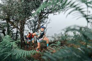 BIB: 
                            <button type="button" onclick="openModal(25328834)" class="btn btn-primary btn-sm float-right btn-popup" data-toggle="modal" data-target=".modal-high-quality">
                        <i class="fas fa-shopping-cart"></i> Add to Cart
                    </button>
                                            <button type="button" onclick="isThisMe(25328834, true)" class="btn btn-success btn-sm float-right btn-popup btn-isme hidden" data-toggle="tooltip" data-placement="bottom" title="นี่คือรูปของคุณใช่ไหม คลิกที่นี่เพื่อเอาเข้าอัลบั้ม">
                        <i class="fas fa-plus"></i> Add to album
                    </button>
                    <button type="button" onclick="isThisMe(25328834, false)" class="btn btn-warning btn-sm float-right btn-popup btn-isnotme hidden">
                        <i class="fas fa-ban"></i> Remove from album
                    </button>