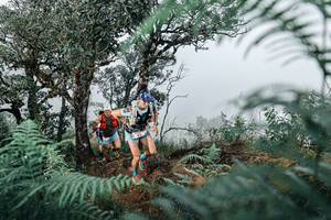 BIB: 
                            <button type="button" onclick="openModal(25328828)" class="btn btn-primary btn-sm float-right btn-popup" data-toggle="modal" data-target=".modal-high-quality">
                        <i class="fas fa-shopping-cart"></i> Add to Cart
                    </button>
                                            <button type="button" onclick="isThisMe(25328828, true)" class="btn btn-success btn-sm float-right btn-popup btn-isme hidden" data-toggle="tooltip" data-placement="bottom" title="นี่คือรูปของคุณใช่ไหม คลิกที่นี่เพื่อเอาเข้าอัลบั้ม">
                        <i class="fas fa-plus"></i> Add to album
                    </button>
                    <button type="button" onclick="isThisMe(25328828, false)" class="btn btn-warning btn-sm float-right btn-popup btn-isnotme hidden">
                        <i class="fas fa-ban"></i> Remove from album
                    </button>