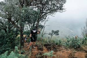 BIB: 
                            <button type="button" onclick="openModal(25329851)" class="btn btn-primary btn-sm float-right btn-popup" data-toggle="modal" data-target=".modal-high-quality">
                        <i class="fas fa-shopping-cart"></i> Add to Cart
                    </button>
                                            <button type="button" onclick="isThisMe(25329851, true)" class="btn btn-success btn-sm float-right btn-popup btn-isme hidden" data-toggle="tooltip" data-placement="bottom" title="นี่คือรูปของคุณใช่ไหม คลิกที่นี่เพื่อเอาเข้าอัลบั้ม">
                        <i class="fas fa-plus"></i> Add to album
                    </button>
                    <button type="button" onclick="isThisMe(25329851, false)" class="btn btn-warning btn-sm float-right btn-popup btn-isnotme hidden">
                        <i class="fas fa-ban"></i> Remove from album
                    </button>