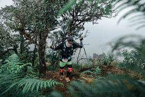 BIB: 
                            <button type="button" onclick="openModal(25329133)" class="btn btn-primary btn-sm float-right btn-popup" data-toggle="modal" data-target=".modal-high-quality">
                        <i class="fas fa-shopping-cart"></i> Add to Cart
                    </button>
                                            <button type="button" onclick="isThisMe(25329133, true)" class="btn btn-success btn-sm float-right btn-popup btn-isme hidden" data-toggle="tooltip" data-placement="bottom" title="นี่คือรูปของคุณใช่ไหม คลิกที่นี่เพื่อเอาเข้าอัลบั้ม">
                        <i class="fas fa-plus"></i> Add to album
                    </button>
                    <button type="button" onclick="isThisMe(25329133, false)" class="btn btn-warning btn-sm float-right btn-popup btn-isnotme hidden">
                        <i class="fas fa-ban"></i> Remove from album
                    </button>