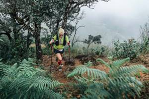 BIB: 
                            <button type="button" onclick="openModal(25329872)" class="btn btn-primary btn-sm float-right btn-popup" data-toggle="modal" data-target=".modal-high-quality">
                        <i class="fas fa-shopping-cart"></i> Add to Cart
                    </button>
                                            <button type="button" onclick="isThisMe(25329872, true)" class="btn btn-success btn-sm float-right btn-popup btn-isme hidden" data-toggle="tooltip" data-placement="bottom" title="นี่คือรูปของคุณใช่ไหม คลิกที่นี่เพื่อเอาเข้าอัลบั้ม">
                        <i class="fas fa-plus"></i> Add to album
                    </button>
                    <button type="button" onclick="isThisMe(25329872, false)" class="btn btn-warning btn-sm float-right btn-popup btn-isnotme hidden">
                        <i class="fas fa-ban"></i> Remove from album
                    </button>