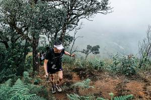 BIB: 
                            <button type="button" onclick="openModal(25329854)" class="btn btn-primary btn-sm float-right btn-popup" data-toggle="modal" data-target=".modal-high-quality">
                        <i class="fas fa-shopping-cart"></i> Add to Cart
                    </button>
                                            <button type="button" onclick="isThisMe(25329854, true)" class="btn btn-success btn-sm float-right btn-popup btn-isme hidden" data-toggle="tooltip" data-placement="bottom" title="นี่คือรูปของคุณใช่ไหม คลิกที่นี่เพื่อเอาเข้าอัลบั้ม">
                        <i class="fas fa-plus"></i> Add to album
                    </button>
                    <button type="button" onclick="isThisMe(25329854, false)" class="btn btn-warning btn-sm float-right btn-popup btn-isnotme hidden">
                        <i class="fas fa-ban"></i> Remove from album
                    </button>