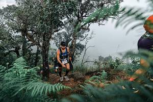 BIB: 
                            <button type="button" onclick="openModal(25336035)" class="btn btn-primary btn-sm float-right btn-popup" data-toggle="modal" data-target=".modal-high-quality">
                        <i class="fas fa-shopping-cart"></i> Add to Cart
                    </button>
                                            <button type="button" onclick="isThisMe(25336035, true)" class="btn btn-success btn-sm float-right btn-popup btn-isme hidden" data-toggle="tooltip" data-placement="bottom" title="นี่คือรูปของคุณใช่ไหม คลิกที่นี่เพื่อเอาเข้าอัลบั้ม">
                        <i class="fas fa-plus"></i> Add to album
                    </button>
                    <button type="button" onclick="isThisMe(25336035, false)" class="btn btn-warning btn-sm float-right btn-popup btn-isnotme hidden">
                        <i class="fas fa-ban"></i> Remove from album
                    </button>