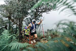 BIB: 
                            <button type="button" onclick="openModal(25329062)" class="btn btn-primary btn-sm float-right btn-popup" data-toggle="modal" data-target=".modal-high-quality">
                        <i class="fas fa-shopping-cart"></i> Add to Cart
                    </button>
                                            <button type="button" onclick="isThisMe(25329062, true)" class="btn btn-success btn-sm float-right btn-popup btn-isme hidden" data-toggle="tooltip" data-placement="bottom" title="นี่คือรูปของคุณใช่ไหม คลิกที่นี่เพื่อเอาเข้าอัลบั้ม">
                        <i class="fas fa-plus"></i> Add to album
                    </button>
                    <button type="button" onclick="isThisMe(25329062, false)" class="btn btn-warning btn-sm float-right btn-popup btn-isnotme hidden">
                        <i class="fas fa-ban"></i> Remove from album
                    </button>