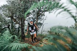 BIB: 
                            <button type="button" onclick="openModal(25329040)" class="btn btn-primary btn-sm float-right btn-popup" data-toggle="modal" data-target=".modal-high-quality">
                        <i class="fas fa-shopping-cart"></i> Add to Cart
                    </button>
                                            <button type="button" onclick="isThisMe(25329040, true)" class="btn btn-success btn-sm float-right btn-popup btn-isme hidden" data-toggle="tooltip" data-placement="bottom" title="นี่คือรูปของคุณใช่ไหม คลิกที่นี่เพื่อเอาเข้าอัลบั้ม">
                        <i class="fas fa-plus"></i> Add to album
                    </button>
                    <button type="button" onclick="isThisMe(25329040, false)" class="btn btn-warning btn-sm float-right btn-popup btn-isnotme hidden">
                        <i class="fas fa-ban"></i> Remove from album
                    </button>