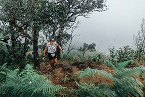 BIB: 
                            <button type="button" onclick="openModal(25330068)" class="btn btn-primary btn-sm float-right btn-popup" data-toggle="modal" data-target=".modal-high-quality">
                        <i class="fas fa-shopping-cart"></i> Add to Cart
                    </button>
                                            <button type="button" onclick="isThisMe(25330068, true)" class="btn btn-success btn-sm float-right btn-popup btn-isme hidden" data-toggle="tooltip" data-placement="bottom" title="นี่คือรูปของคุณใช่ไหม คลิกที่นี่เพื่อเอาเข้าอัลบั้ม">
                        <i class="fas fa-plus"></i> Add to album
                    </button>
                    <button type="button" onclick="isThisMe(25330068, false)" class="btn btn-warning btn-sm float-right btn-popup btn-isnotme hidden">
                        <i class="fas fa-ban"></i> Remove from album
                    </button>