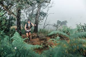 BIB: 
                            <button type="button" onclick="openModal(25329599)" class="btn btn-primary btn-sm float-right btn-popup" data-toggle="modal" data-target=".modal-high-quality">
                        <i class="fas fa-shopping-cart"></i> Add to Cart
                    </button>
                                            <button type="button" onclick="isThisMe(25329599, true)" class="btn btn-success btn-sm float-right btn-popup btn-isme hidden" data-toggle="tooltip" data-placement="bottom" title="นี่คือรูปของคุณใช่ไหม คลิกที่นี่เพื่อเอาเข้าอัลบั้ม">
                        <i class="fas fa-plus"></i> Add to album
                    </button>
                    <button type="button" onclick="isThisMe(25329599, false)" class="btn btn-warning btn-sm float-right btn-popup btn-isnotme hidden">
                        <i class="fas fa-ban"></i> Remove from album
                    </button>