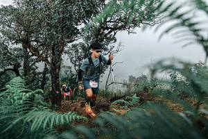 BIB: 
                            <button type="button" onclick="openModal(25336141)" class="btn btn-primary btn-sm float-right btn-popup" data-toggle="modal" data-target=".modal-high-quality">
                        <i class="fas fa-shopping-cart"></i> Add to Cart
                    </button>
                                            <button type="button" onclick="isThisMe(25336141, true)" class="btn btn-success btn-sm float-right btn-popup btn-isme hidden" data-toggle="tooltip" data-placement="bottom" title="นี่คือรูปของคุณใช่ไหม คลิกที่นี่เพื่อเอาเข้าอัลบั้ม">
                        <i class="fas fa-plus"></i> Add to album
                    </button>
                    <button type="button" onclick="isThisMe(25336141, false)" class="btn btn-warning btn-sm float-right btn-popup btn-isnotme hidden">
                        <i class="fas fa-ban"></i> Remove from album
                    </button>