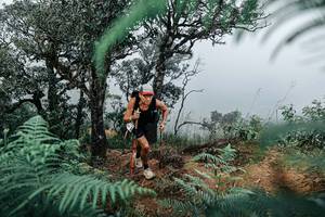 BIB: 
                            <button type="button" onclick="openModal(25328971)" class="btn btn-primary btn-sm float-right btn-popup" data-toggle="modal" data-target=".modal-high-quality">
                        <i class="fas fa-shopping-cart"></i> Add to Cart
                    </button>
                                            <button type="button" onclick="isThisMe(25328971, true)" class="btn btn-success btn-sm float-right btn-popup btn-isme hidden" data-toggle="tooltip" data-placement="bottom" title="นี่คือรูปของคุณใช่ไหม คลิกที่นี่เพื่อเอาเข้าอัลบั้ม">
                        <i class="fas fa-plus"></i> Add to album
                    </button>
                    <button type="button" onclick="isThisMe(25328971, false)" class="btn btn-warning btn-sm float-right btn-popup btn-isnotme hidden">
                        <i class="fas fa-ban"></i> Remove from album
                    </button>