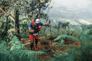 BIB: 
                            <button type="button" onclick="openModal(25338619)" class="btn btn-primary btn-sm float-right btn-popup" data-toggle="modal" data-target=".modal-high-quality">
                        <i class="fas fa-shopping-cart"></i> Add to Cart
                    </button>
                                            <button type="button" onclick="isThisMe(25338619, true)" class="btn btn-success btn-sm float-right btn-popup btn-isme hidden" data-toggle="tooltip" data-placement="bottom" title="นี่คือรูปของคุณใช่ไหม คลิกที่นี่เพื่อเอาเข้าอัลบั้ม">
                        <i class="fas fa-plus"></i> Add to album
                    </button>
                    <button type="button" onclick="isThisMe(25338619, false)" class="btn btn-warning btn-sm float-right btn-popup btn-isnotme hidden">
                        <i class="fas fa-ban"></i> Remove from album
                    </button>