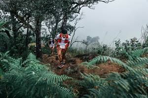 BIB: 
                            <button type="button" onclick="openModal(25330132)" class="btn btn-primary btn-sm float-right btn-popup" data-toggle="modal" data-target=".modal-high-quality">
                        <i class="fas fa-shopping-cart"></i> Add to Cart
                    </button>
                                            <button type="button" onclick="isThisMe(25330132, true)" class="btn btn-success btn-sm float-right btn-popup btn-isme hidden" data-toggle="tooltip" data-placement="bottom" title="นี่คือรูปของคุณใช่ไหม คลิกที่นี่เพื่อเอาเข้าอัลบั้ม">
                        <i class="fas fa-plus"></i> Add to album
                    </button>
                    <button type="button" onclick="isThisMe(25330132, false)" class="btn btn-warning btn-sm float-right btn-popup btn-isnotme hidden">
                        <i class="fas fa-ban"></i> Remove from album
                    </button>