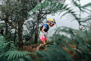 BIB: 
                            <button type="button" onclick="openModal(25329130)" class="btn btn-primary btn-sm float-right btn-popup" data-toggle="modal" data-target=".modal-high-quality">
                        <i class="fas fa-shopping-cart"></i> Add to Cart
                    </button>
                                            <button type="button" onclick="isThisMe(25329130, true)" class="btn btn-success btn-sm float-right btn-popup btn-isme hidden" data-toggle="tooltip" data-placement="bottom" title="นี่คือรูปของคุณใช่ไหม คลิกที่นี่เพื่อเอาเข้าอัลบั้ม">
                        <i class="fas fa-plus"></i> Add to album
                    </button>
                    <button type="button" onclick="isThisMe(25329130, false)" class="btn btn-warning btn-sm float-right btn-popup btn-isnotme hidden">
                        <i class="fas fa-ban"></i> Remove from album
                    </button>