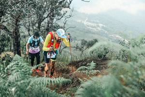 BIB: 
                            <button type="button" onclick="openModal(25339387)" class="btn btn-primary btn-sm float-right btn-popup" data-toggle="modal" data-target=".modal-high-quality">
                        <i class="fas fa-shopping-cart"></i> Add to Cart
                    </button>
                                            <button type="button" onclick="isThisMe(25339387, true)" class="btn btn-success btn-sm float-right btn-popup btn-isme hidden" data-toggle="tooltip" data-placement="bottom" title="นี่คือรูปของคุณใช่ไหม คลิกที่นี่เพื่อเอาเข้าอัลบั้ม">
                        <i class="fas fa-plus"></i> Add to album
                    </button>
                    <button type="button" onclick="isThisMe(25339387, false)" class="btn btn-warning btn-sm float-right btn-popup btn-isnotme hidden">
                        <i class="fas fa-ban"></i> Remove from album
                    </button>