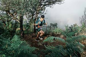 BIB: 
                            <button type="button" onclick="openModal(25329420)" class="btn btn-primary btn-sm float-right btn-popup" data-toggle="modal" data-target=".modal-high-quality">
                        <i class="fas fa-shopping-cart"></i> Add to Cart
                    </button>
                                            <button type="button" onclick="isThisMe(25329420, true)" class="btn btn-success btn-sm float-right btn-popup btn-isme hidden" data-toggle="tooltip" data-placement="bottom" title="นี่คือรูปของคุณใช่ไหม คลิกที่นี่เพื่อเอาเข้าอัลบั้ม">
                        <i class="fas fa-plus"></i> Add to album
                    </button>
                    <button type="button" onclick="isThisMe(25329420, false)" class="btn btn-warning btn-sm float-right btn-popup btn-isnotme hidden">
                        <i class="fas fa-ban"></i> Remove from album
                    </button>