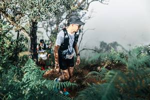 BIB: 
                            <button type="button" onclick="openModal(25338125)" class="btn btn-primary btn-sm float-right btn-popup" data-toggle="modal" data-target=".modal-high-quality">
                        <i class="fas fa-shopping-cart"></i> Add to Cart
                    </button>
                                            <button type="button" onclick="isThisMe(25338125, true)" class="btn btn-success btn-sm float-right btn-popup btn-isme hidden" data-toggle="tooltip" data-placement="bottom" title="นี่คือรูปของคุณใช่ไหม คลิกที่นี่เพื่อเอาเข้าอัลบั้ม">
                        <i class="fas fa-plus"></i> Add to album
                    </button>
                    <button type="button" onclick="isThisMe(25338125, false)" class="btn btn-warning btn-sm float-right btn-popup btn-isnotme hidden">
                        <i class="fas fa-ban"></i> Remove from album
                    </button>