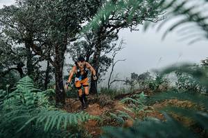 BIB: 
                            <button type="button" onclick="openModal(25328948)" class="btn btn-primary btn-sm float-right btn-popup" data-toggle="modal" data-target=".modal-high-quality">
                        <i class="fas fa-shopping-cart"></i> Add to Cart
                    </button>
                                            <button type="button" onclick="isThisMe(25328948, true)" class="btn btn-success btn-sm float-right btn-popup btn-isme hidden" data-toggle="tooltip" data-placement="bottom" title="นี่คือรูปของคุณใช่ไหม คลิกที่นี่เพื่อเอาเข้าอัลบั้ม">
                        <i class="fas fa-plus"></i> Add to album
                    </button>
                    <button type="button" onclick="isThisMe(25328948, false)" class="btn btn-warning btn-sm float-right btn-popup btn-isnotme hidden">
                        <i class="fas fa-ban"></i> Remove from album
                    </button>