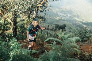 BIB: 
                            <button type="button" onclick="openModal(25340105)" class="btn btn-primary btn-sm float-right btn-popup" data-toggle="modal" data-target=".modal-high-quality">
                        <i class="fas fa-shopping-cart"></i> Add to Cart
                    </button>
                                            <button type="button" onclick="isThisMe(25340105, true)" class="btn btn-success btn-sm float-right btn-popup btn-isme hidden" data-toggle="tooltip" data-placement="bottom" title="นี่คือรูปของคุณใช่ไหม คลิกที่นี่เพื่อเอาเข้าอัลบั้ม">
                        <i class="fas fa-plus"></i> Add to album
                    </button>
                    <button type="button" onclick="isThisMe(25340105, false)" class="btn btn-warning btn-sm float-right btn-popup btn-isnotme hidden">
                        <i class="fas fa-ban"></i> Remove from album
                    </button>