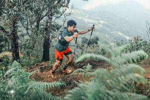 BIB: 
                            <button type="button" onclick="openModal(25339592)" class="btn btn-primary btn-sm float-right btn-popup" data-toggle="modal" data-target=".modal-high-quality">
                        <i class="fas fa-shopping-cart"></i> Add to Cart
                    </button>
                                            <button type="button" onclick="isThisMe(25339592, true)" class="btn btn-success btn-sm float-right btn-popup btn-isme hidden" data-toggle="tooltip" data-placement="bottom" title="นี่คือรูปของคุณใช่ไหม คลิกที่นี่เพื่อเอาเข้าอัลบั้ม">
                        <i class="fas fa-plus"></i> Add to album
                    </button>
                    <button type="button" onclick="isThisMe(25339592, false)" class="btn btn-warning btn-sm float-right btn-popup btn-isnotme hidden">
                        <i class="fas fa-ban"></i> Remove from album
                    </button>