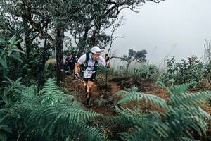 BIB: 
                            <button type="button" onclick="openModal(25330191)" class="btn btn-primary btn-sm float-right btn-popup" data-toggle="modal" data-target=".modal-high-quality">
                        <i class="fas fa-shopping-cart"></i> Add to Cart
                    </button>
                                            <button type="button" onclick="isThisMe(25330191, true)" class="btn btn-success btn-sm float-right btn-popup btn-isme hidden" data-toggle="tooltip" data-placement="bottom" title="นี่คือรูปของคุณใช่ไหม คลิกที่นี่เพื่อเอาเข้าอัลบั้ม">
                        <i class="fas fa-plus"></i> Add to album
                    </button>
                    <button type="button" onclick="isThisMe(25330191, false)" class="btn btn-warning btn-sm float-right btn-popup btn-isnotme hidden">
                        <i class="fas fa-ban"></i> Remove from album
                    </button>