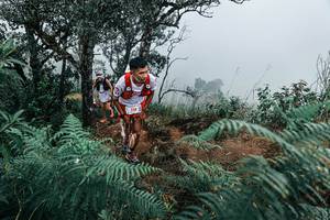 BIB: 
                            <button type="button" onclick="openModal(25330137)" class="btn btn-primary btn-sm float-right btn-popup" data-toggle="modal" data-target=".modal-high-quality">
                        <i class="fas fa-shopping-cart"></i> Add to Cart
                    </button>
                                            <button type="button" onclick="isThisMe(25330137, true)" class="btn btn-success btn-sm float-right btn-popup btn-isme hidden" data-toggle="tooltip" data-placement="bottom" title="นี่คือรูปของคุณใช่ไหม คลิกที่นี่เพื่อเอาเข้าอัลบั้ม">
                        <i class="fas fa-plus"></i> Add to album
                    </button>
                    <button type="button" onclick="isThisMe(25330137, false)" class="btn btn-warning btn-sm float-right btn-popup btn-isnotme hidden">
                        <i class="fas fa-ban"></i> Remove from album
                    </button>