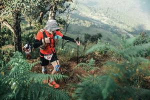 BIB: 
                            <button type="button" onclick="openModal(25339881)" class="btn btn-primary btn-sm float-right btn-popup" data-toggle="modal" data-target=".modal-high-quality">
                        <i class="fas fa-shopping-cart"></i> Add to Cart
                    </button>
                                            <button type="button" onclick="isThisMe(25339881, true)" class="btn btn-success btn-sm float-right btn-popup btn-isme hidden" data-toggle="tooltip" data-placement="bottom" title="นี่คือรูปของคุณใช่ไหม คลิกที่นี่เพื่อเอาเข้าอัลบั้ม">
                        <i class="fas fa-plus"></i> Add to album
                    </button>
                    <button type="button" onclick="isThisMe(25339881, false)" class="btn btn-warning btn-sm float-right btn-popup btn-isnotme hidden">
                        <i class="fas fa-ban"></i> Remove from album
                    </button>