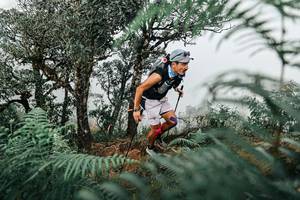 BIB: 
                            <button type="button" onclick="openModal(25328814)" class="btn btn-primary btn-sm float-right btn-popup" data-toggle="modal" data-target=".modal-high-quality">
                        <i class="fas fa-shopping-cart"></i> Add to Cart
                    </button>
                                            <button type="button" onclick="isThisMe(25328814, true)" class="btn btn-success btn-sm float-right btn-popup btn-isme hidden" data-toggle="tooltip" data-placement="bottom" title="นี่คือรูปของคุณใช่ไหม คลิกที่นี่เพื่อเอาเข้าอัลบั้ม">
                        <i class="fas fa-plus"></i> Add to album
                    </button>
                    <button type="button" onclick="isThisMe(25328814, false)" class="btn btn-warning btn-sm float-right btn-popup btn-isnotme hidden">
                        <i class="fas fa-ban"></i> Remove from album
                    </button>