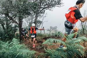 BIB: 
                            <button type="button" onclick="openModal(25329487)" class="btn btn-primary btn-sm float-right btn-popup" data-toggle="modal" data-target=".modal-high-quality">
                        <i class="fas fa-shopping-cart"></i> Add to Cart
                    </button>
                                            <button type="button" onclick="isThisMe(25329487, true)" class="btn btn-success btn-sm float-right btn-popup btn-isme hidden" data-toggle="tooltip" data-placement="bottom" title="นี่คือรูปของคุณใช่ไหม คลิกที่นี่เพื่อเอาเข้าอัลบั้ม">
                        <i class="fas fa-plus"></i> Add to album
                    </button>
                    <button type="button" onclick="isThisMe(25329487, false)" class="btn btn-warning btn-sm float-right btn-popup btn-isnotme hidden">
                        <i class="fas fa-ban"></i> Remove from album
                    </button>