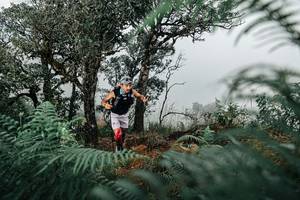 BIB: 
                            <button type="button" onclick="openModal(25328817)" class="btn btn-primary btn-sm float-right btn-popup" data-toggle="modal" data-target=".modal-high-quality">
                        <i class="fas fa-shopping-cart"></i> Add to Cart
                    </button>
                                            <button type="button" onclick="isThisMe(25328817, true)" class="btn btn-success btn-sm float-right btn-popup btn-isme hidden" data-toggle="tooltip" data-placement="bottom" title="นี่คือรูปของคุณใช่ไหม คลิกที่นี่เพื่อเอาเข้าอัลบั้ม">
                        <i class="fas fa-plus"></i> Add to album
                    </button>
                    <button type="button" onclick="isThisMe(25328817, false)" class="btn btn-warning btn-sm float-right btn-popup btn-isnotme hidden">
                        <i class="fas fa-ban"></i> Remove from album
                    </button>