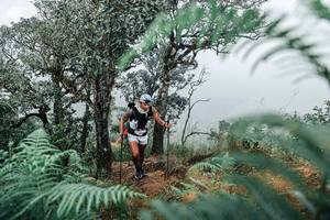 BIB: 
                            <button type="button" onclick="openModal(25329034)" class="btn btn-primary btn-sm float-right btn-popup" data-toggle="modal" data-target=".modal-high-quality">
                        <i class="fas fa-shopping-cart"></i> Add to Cart
                    </button>
                                            <button type="button" onclick="isThisMe(25329034, true)" class="btn btn-success btn-sm float-right btn-popup btn-isme hidden" data-toggle="tooltip" data-placement="bottom" title="นี่คือรูปของคุณใช่ไหม คลิกที่นี่เพื่อเอาเข้าอัลบั้ม">
                        <i class="fas fa-plus"></i> Add to album
                    </button>
                    <button type="button" onclick="isThisMe(25329034, false)" class="btn btn-warning btn-sm float-right btn-popup btn-isnotme hidden">
                        <i class="fas fa-ban"></i> Remove from album
                    </button>