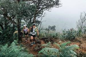 BIB: 
                            <button type="button" onclick="openModal(25329917)" class="btn btn-primary btn-sm float-right btn-popup" data-toggle="modal" data-target=".modal-high-quality">
                        <i class="fas fa-shopping-cart"></i> Add to Cart
                    </button>
                                            <button type="button" onclick="isThisMe(25329917, true)" class="btn btn-success btn-sm float-right btn-popup btn-isme hidden" data-toggle="tooltip" data-placement="bottom" title="นี่คือรูปของคุณใช่ไหม คลิกที่นี่เพื่อเอาเข้าอัลบั้ม">
                        <i class="fas fa-plus"></i> Add to album
                    </button>
                    <button type="button" onclick="isThisMe(25329917, false)" class="btn btn-warning btn-sm float-right btn-popup btn-isnotme hidden">
                        <i class="fas fa-ban"></i> Remove from album
                    </button>