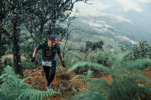 BIB: 
                            <button type="button" onclick="openModal(25339071)" class="btn btn-primary btn-sm float-right btn-popup" data-toggle="modal" data-target=".modal-high-quality">
                        <i class="fas fa-shopping-cart"></i> Add to Cart
                    </button>
                                            <button type="button" onclick="isThisMe(25339071, true)" class="btn btn-success btn-sm float-right btn-popup btn-isme hidden" data-toggle="tooltip" data-placement="bottom" title="นี่คือรูปของคุณใช่ไหม คลิกที่นี่เพื่อเอาเข้าอัลบั้ม">
                        <i class="fas fa-plus"></i> Add to album
                    </button>
                    <button type="button" onclick="isThisMe(25339071, false)" class="btn btn-warning btn-sm float-right btn-popup btn-isnotme hidden">
                        <i class="fas fa-ban"></i> Remove from album
                    </button>