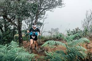 BIB: 
                            <button type="button" onclick="openModal(25329513)" class="btn btn-primary btn-sm float-right btn-popup" data-toggle="modal" data-target=".modal-high-quality">
                        <i class="fas fa-shopping-cart"></i> Add to Cart
                    </button>
                                            <button type="button" onclick="isThisMe(25329513, true)" class="btn btn-success btn-sm float-right btn-popup btn-isme hidden" data-toggle="tooltip" data-placement="bottom" title="นี่คือรูปของคุณใช่ไหม คลิกที่นี่เพื่อเอาเข้าอัลบั้ม">
                        <i class="fas fa-plus"></i> Add to album
                    </button>
                    <button type="button" onclick="isThisMe(25329513, false)" class="btn btn-warning btn-sm float-right btn-popup btn-isnotme hidden">
                        <i class="fas fa-ban"></i> Remove from album
                    </button>