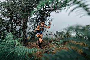 BIB: 
                            <button type="button" onclick="openModal(25328951)" class="btn btn-primary btn-sm float-right btn-popup" data-toggle="modal" data-target=".modal-high-quality">
                        <i class="fas fa-shopping-cart"></i> Add to Cart
                    </button>
                                            <button type="button" onclick="isThisMe(25328951, true)" class="btn btn-success btn-sm float-right btn-popup btn-isme hidden" data-toggle="tooltip" data-placement="bottom" title="นี่คือรูปของคุณใช่ไหม คลิกที่นี่เพื่อเอาเข้าอัลบั้ม">
                        <i class="fas fa-plus"></i> Add to album
                    </button>
                    <button type="button" onclick="isThisMe(25328951, false)" class="btn btn-warning btn-sm float-right btn-popup btn-isnotme hidden">
                        <i class="fas fa-ban"></i> Remove from album
                    </button>