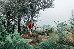 BIB: 
                            <button type="button" onclick="openModal(25329523)" class="btn btn-primary btn-sm float-right btn-popup" data-toggle="modal" data-target=".modal-high-quality">
                        <i class="fas fa-shopping-cart"></i> Add to Cart
                    </button>
                                            <button type="button" onclick="isThisMe(25329523, true)" class="btn btn-success btn-sm float-right btn-popup btn-isme hidden" data-toggle="tooltip" data-placement="bottom" title="นี่คือรูปของคุณใช่ไหม คลิกที่นี่เพื่อเอาเข้าอัลบั้ม">
                        <i class="fas fa-plus"></i> Add to album
                    </button>
                    <button type="button" onclick="isThisMe(25329523, false)" class="btn btn-warning btn-sm float-right btn-popup btn-isnotme hidden">
                        <i class="fas fa-ban"></i> Remove from album
                    </button>