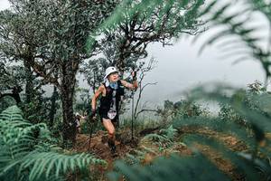 BIB: 
                            <button type="button" onclick="openModal(25329098)" class="btn btn-primary btn-sm float-right btn-popup" data-toggle="modal" data-target=".modal-high-quality">
                        <i class="fas fa-shopping-cart"></i> Add to Cart
                    </button>
                                            <button type="button" onclick="isThisMe(25329098, true)" class="btn btn-success btn-sm float-right btn-popup btn-isme hidden" data-toggle="tooltip" data-placement="bottom" title="นี่คือรูปของคุณใช่ไหม คลิกที่นี่เพื่อเอาเข้าอัลบั้ม">
                        <i class="fas fa-plus"></i> Add to album
                    </button>
                    <button type="button" onclick="isThisMe(25329098, false)" class="btn btn-warning btn-sm float-right btn-popup btn-isnotme hidden">
                        <i class="fas fa-ban"></i> Remove from album
                    </button>