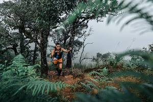 BIB: 
                            <button type="button" onclick="openModal(25328946)" class="btn btn-primary btn-sm float-right btn-popup" data-toggle="modal" data-target=".modal-high-quality">
                        <i class="fas fa-shopping-cart"></i> Add to Cart
                    </button>
                                            <button type="button" onclick="isThisMe(25328946, true)" class="btn btn-success btn-sm float-right btn-popup btn-isme hidden" data-toggle="tooltip" data-placement="bottom" title="นี่คือรูปของคุณใช่ไหม คลิกที่นี่เพื่อเอาเข้าอัลบั้ม">
                        <i class="fas fa-plus"></i> Add to album
                    </button>
                    <button type="button" onclick="isThisMe(25328946, false)" class="btn btn-warning btn-sm float-right btn-popup btn-isnotme hidden">
                        <i class="fas fa-ban"></i> Remove from album
                    </button>