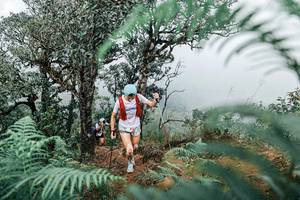 BIB: 
                            <button type="button" onclick="openModal(25329054)" class="btn btn-primary btn-sm float-right btn-popup" data-toggle="modal" data-target=".modal-high-quality">
                        <i class="fas fa-shopping-cart"></i> Add to Cart
                    </button>
                                            <button type="button" onclick="isThisMe(25329054, true)" class="btn btn-success btn-sm float-right btn-popup btn-isme hidden" data-toggle="tooltip" data-placement="bottom" title="นี่คือรูปของคุณใช่ไหม คลิกที่นี่เพื่อเอาเข้าอัลบั้ม">
                        <i class="fas fa-plus"></i> Add to album
                    </button>
                    <button type="button" onclick="isThisMe(25329054, false)" class="btn btn-warning btn-sm float-right btn-popup btn-isnotme hidden">
                        <i class="fas fa-ban"></i> Remove from album
                    </button>