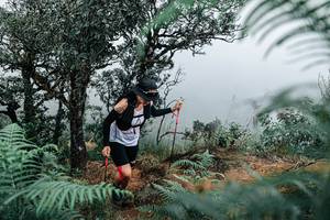 BIB: 
                            <button type="button" onclick="openModal(25329830)" class="btn btn-primary btn-sm float-right btn-popup" data-toggle="modal" data-target=".modal-high-quality">
                        <i class="fas fa-shopping-cart"></i> Add to Cart
                    </button>
                                            <button type="button" onclick="isThisMe(25329830, true)" class="btn btn-success btn-sm float-right btn-popup btn-isme hidden" data-toggle="tooltip" data-placement="bottom" title="นี่คือรูปของคุณใช่ไหม คลิกที่นี่เพื่อเอาเข้าอัลบั้ม">
                        <i class="fas fa-plus"></i> Add to album
                    </button>
                    <button type="button" onclick="isThisMe(25329830, false)" class="btn btn-warning btn-sm float-right btn-popup btn-isnotme hidden">
                        <i class="fas fa-ban"></i> Remove from album
                    </button>