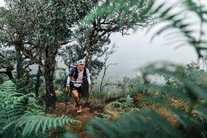 BIB: 
                            <button type="button" onclick="openModal(25335890)" class="btn btn-primary btn-sm float-right btn-popup" data-toggle="modal" data-target=".modal-high-quality">
                        <i class="fas fa-shopping-cart"></i> Add to Cart
                    </button>
                                            <button type="button" onclick="isThisMe(25335890, true)" class="btn btn-success btn-sm float-right btn-popup btn-isme hidden" data-toggle="tooltip" data-placement="bottom" title="นี่คือรูปของคุณใช่ไหม คลิกที่นี่เพื่อเอาเข้าอัลบั้ม">
                        <i class="fas fa-plus"></i> Add to album
                    </button>
                    <button type="button" onclick="isThisMe(25335890, false)" class="btn btn-warning btn-sm float-right btn-popup btn-isnotme hidden">
                        <i class="fas fa-ban"></i> Remove from album
                    </button>