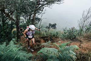 BIB: 
                            <button type="button" onclick="openModal(25329922)" class="btn btn-primary btn-sm float-right btn-popup" data-toggle="modal" data-target=".modal-high-quality">
                        <i class="fas fa-shopping-cart"></i> Add to Cart
                    </button>
                                            <button type="button" onclick="isThisMe(25329922, true)" class="btn btn-success btn-sm float-right btn-popup btn-isme hidden" data-toggle="tooltip" data-placement="bottom" title="นี่คือรูปของคุณใช่ไหม คลิกที่นี่เพื่อเอาเข้าอัลบั้ม">
                        <i class="fas fa-plus"></i> Add to album
                    </button>
                    <button type="button" onclick="isThisMe(25329922, false)" class="btn btn-warning btn-sm float-right btn-popup btn-isnotme hidden">
                        <i class="fas fa-ban"></i> Remove from album
                    </button>