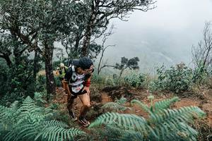 BIB: 
                            <button type="button" onclick="openModal(25329871)" class="btn btn-primary btn-sm float-right btn-popup" data-toggle="modal" data-target=".modal-high-quality">
                        <i class="fas fa-shopping-cart"></i> Add to Cart
                    </button>
                                            <button type="button" onclick="isThisMe(25329871, true)" class="btn btn-success btn-sm float-right btn-popup btn-isme hidden" data-toggle="tooltip" data-placement="bottom" title="นี่คือรูปของคุณใช่ไหม คลิกที่นี่เพื่อเอาเข้าอัลบั้ม">
                        <i class="fas fa-plus"></i> Add to album
                    </button>
                    <button type="button" onclick="isThisMe(25329871, false)" class="btn btn-warning btn-sm float-right btn-popup btn-isnotme hidden">
                        <i class="fas fa-ban"></i> Remove from album
                    </button>